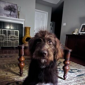 Meet your Posher, Phuture